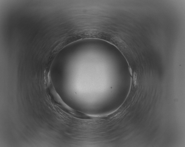 X0000070181107200605301344