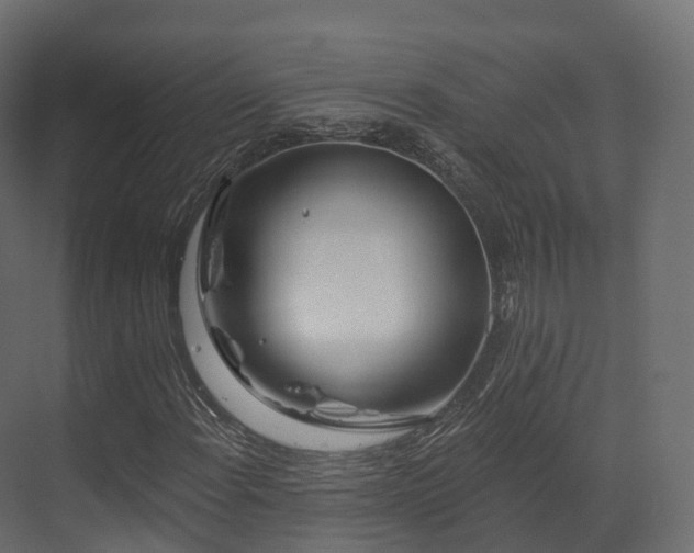 X0000070181108200605301344
