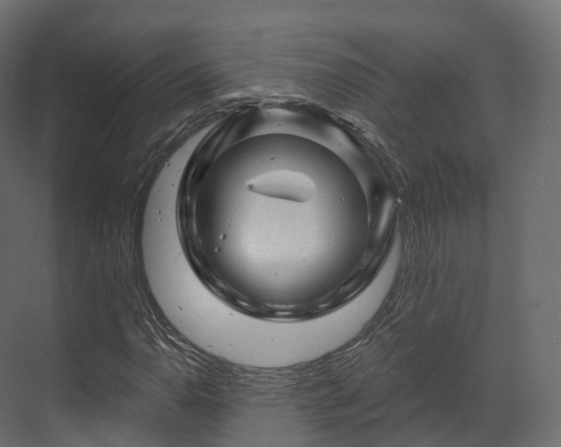 X0000070181110200605301344