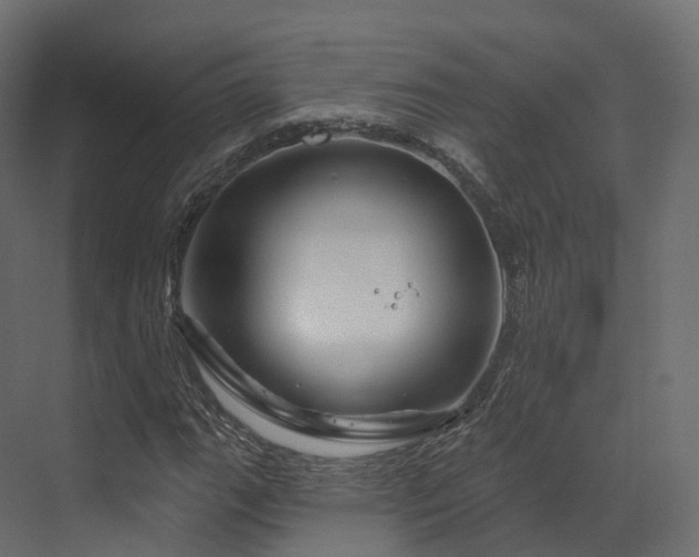 X0000070181111200605301344