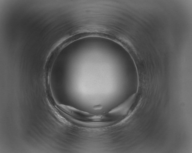 X0000070181114200605301344
