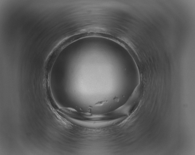 X0000070181115200605301344