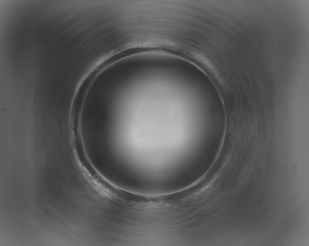 X0000070181122200605301344