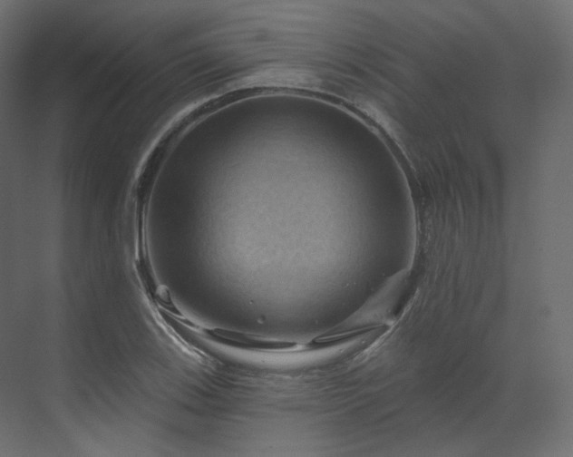 X0000070181123200605301344
