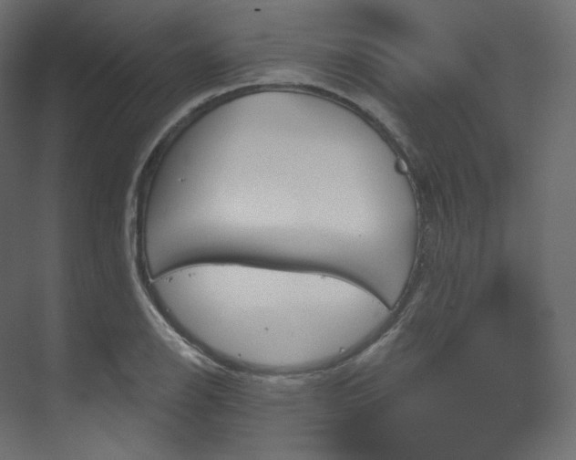 X0000070181126200605301344