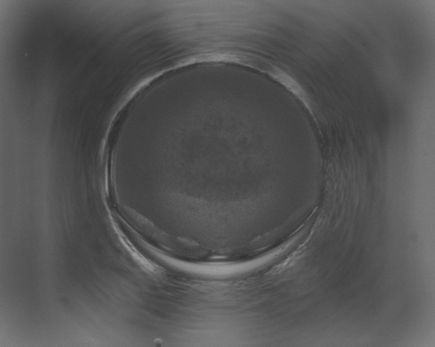 X0000070181127200605301344