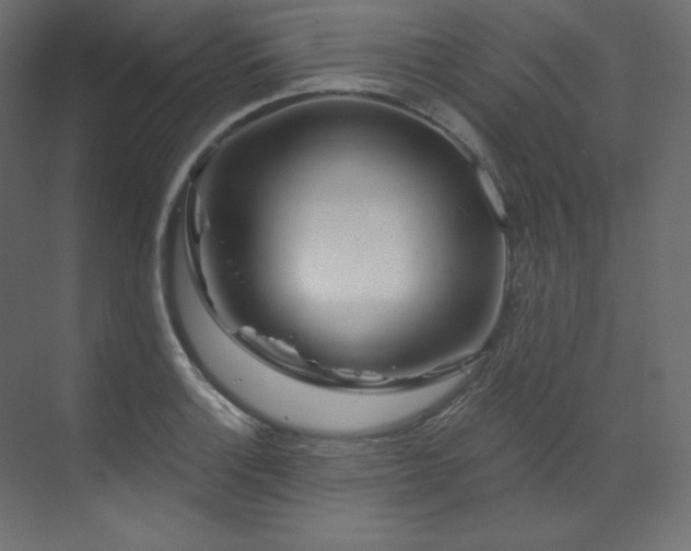 X0000070181132200605301344