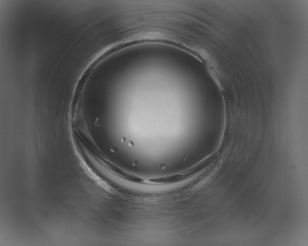 X0000070181134200605301344