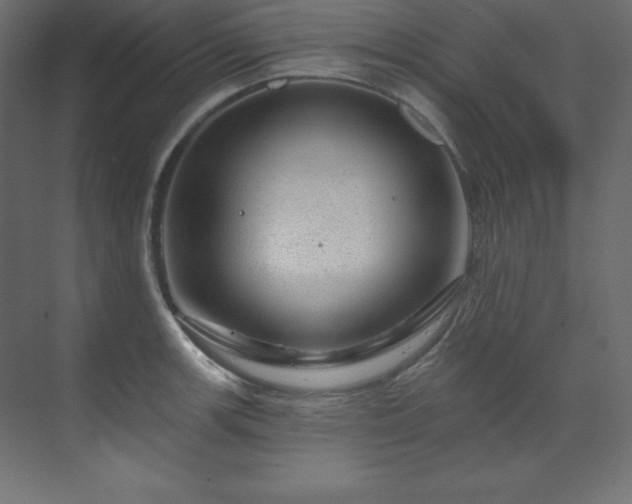 X0000070181139200605301344
