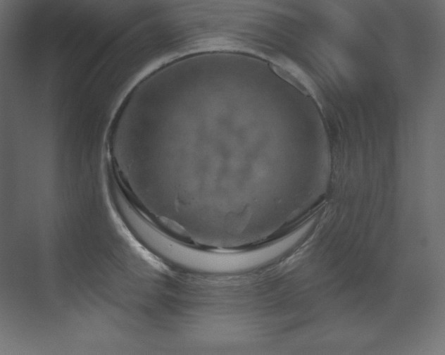 X0000070181142200605301344