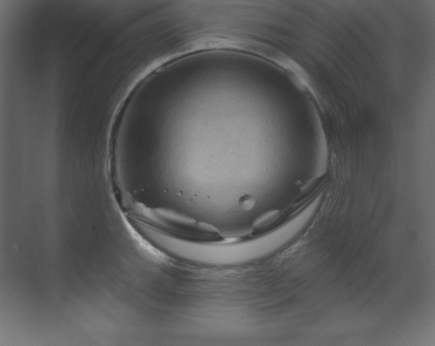 X0000070181143200605301344