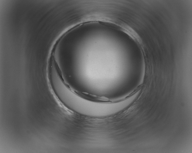 X0000070181144200605301344