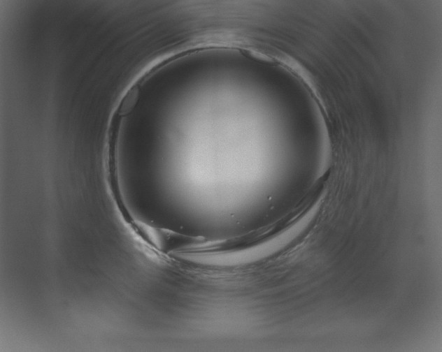 X0000070181147200605301344