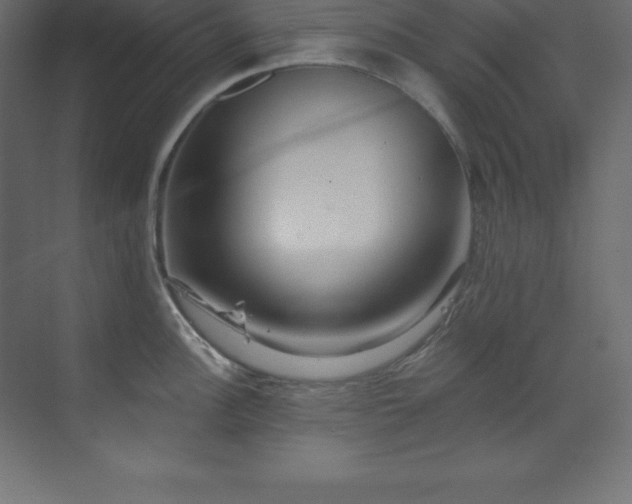 X0000070181148200605301345