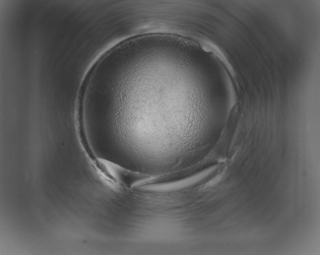 X0000070181149200605301345