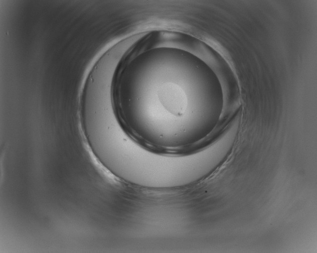 X0000070181152200605301345