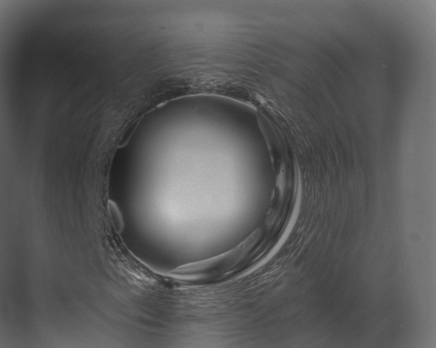 X0000070181153200605301344