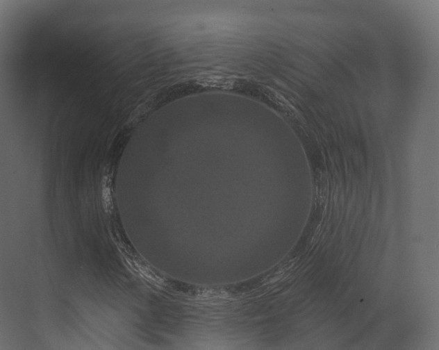 X0000070181154200605301344