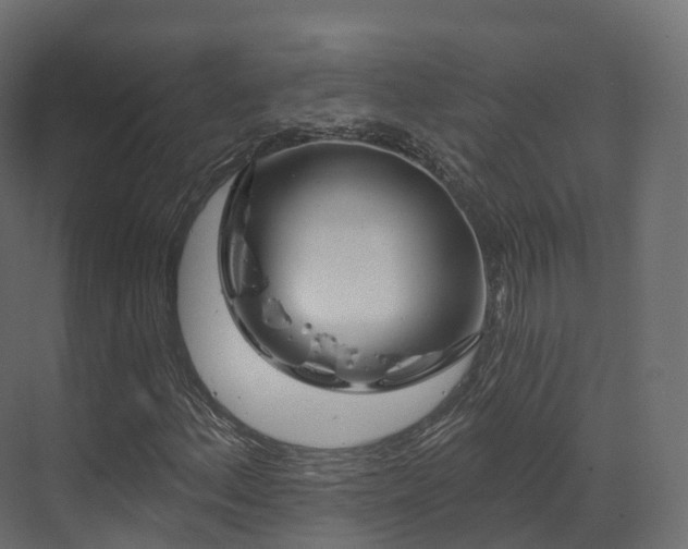 X0000070181156200605301344