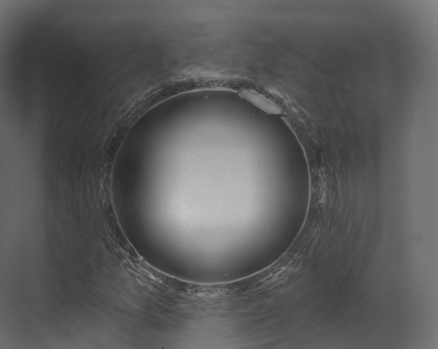 X0000070181157200605301344