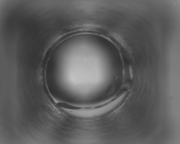 X0000070181164200605301344