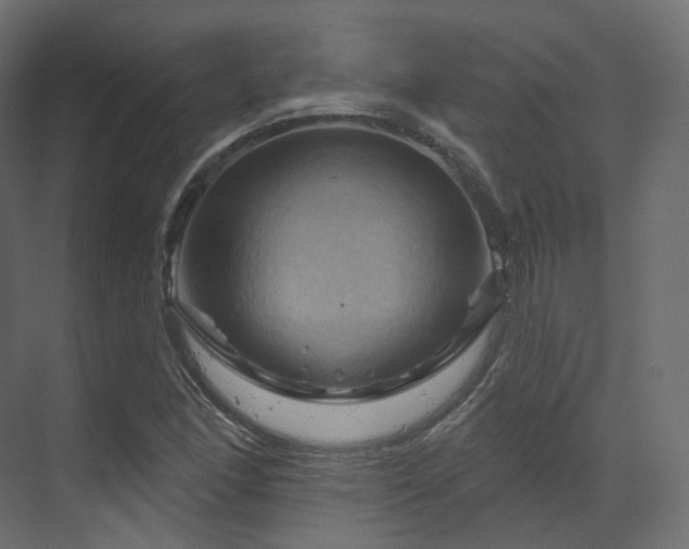 X0000070181166200605301344