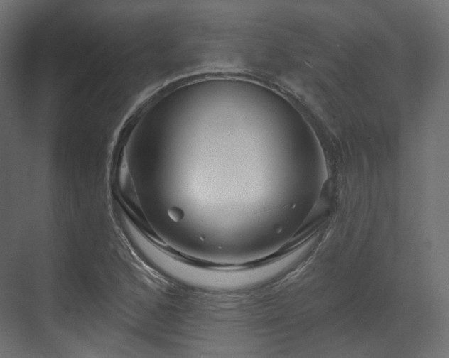 X0000070181168200605301344