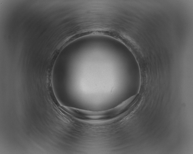 X0000070181169200605301344