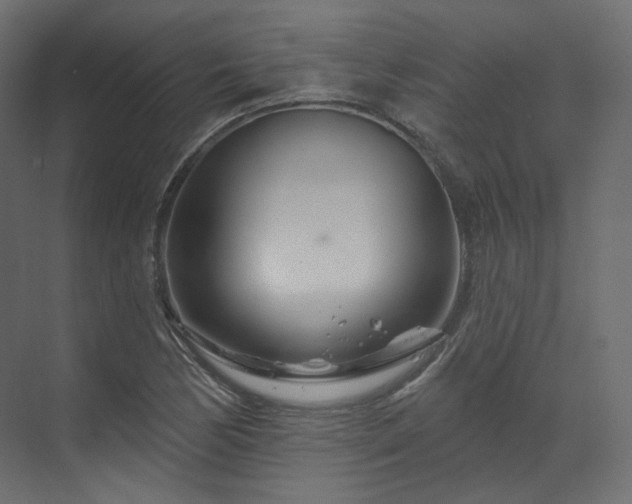 X0000070181170200605301343
