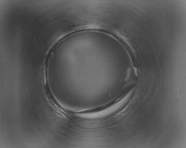 X0000070181171200605301343