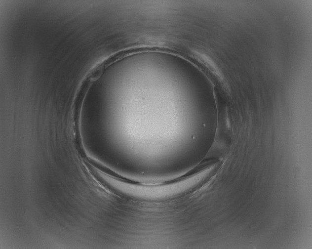 X0000070181172200605301343