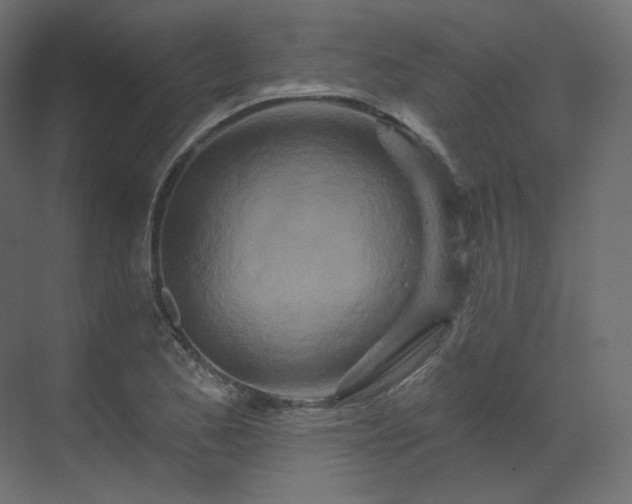 X0000070181173200605301343