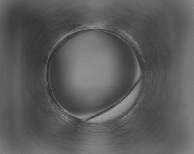 X0000070181174200605301343