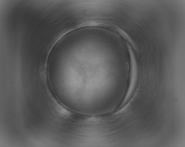 X0000070181178200605301343