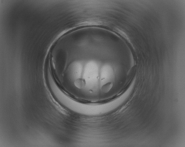 X0000070181179200605301343