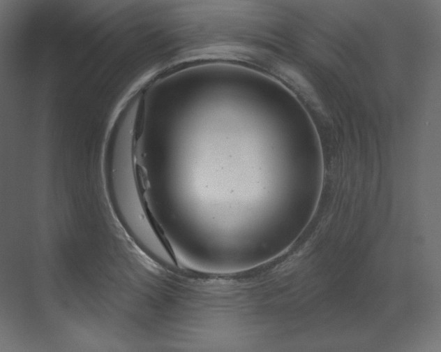 X0000070181180200605301343