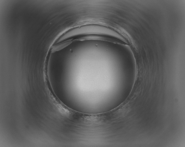X0000070181182200605301343