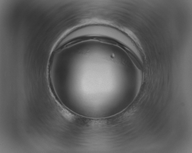 X0000070181183200605301343