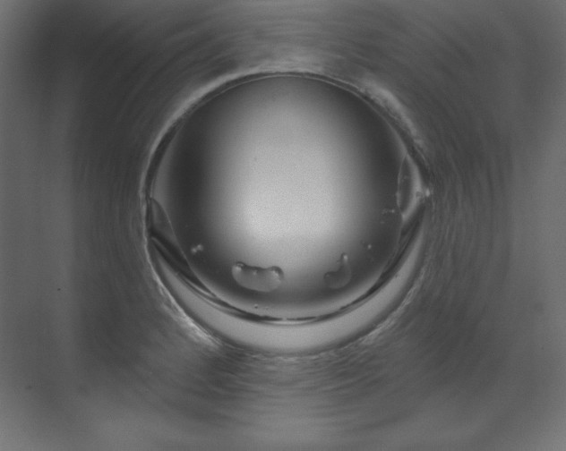 X0000070181184200605301343