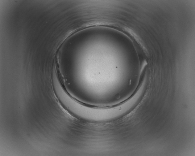 X0000070181185200605301343