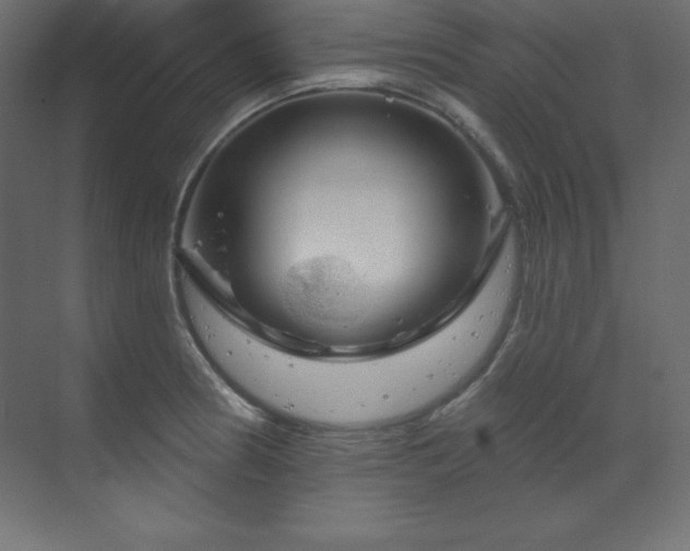 X0000070181186200605301343