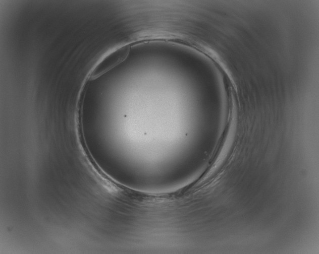 X0000070181187200605301343
