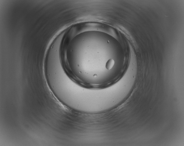 X0000070181188200605301343