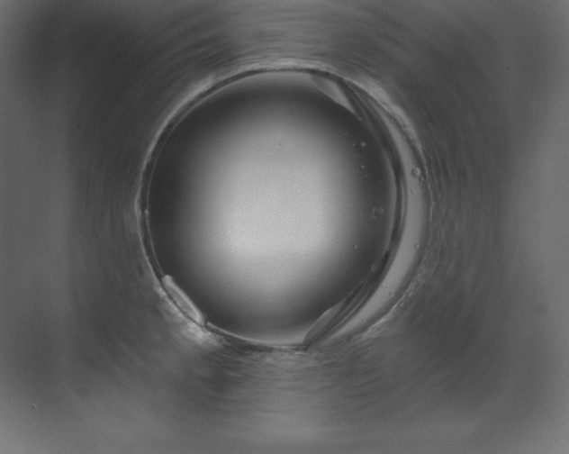 X0000070181189200605301343