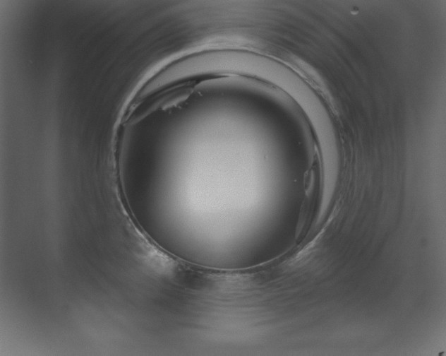 X0000070181192200605301343