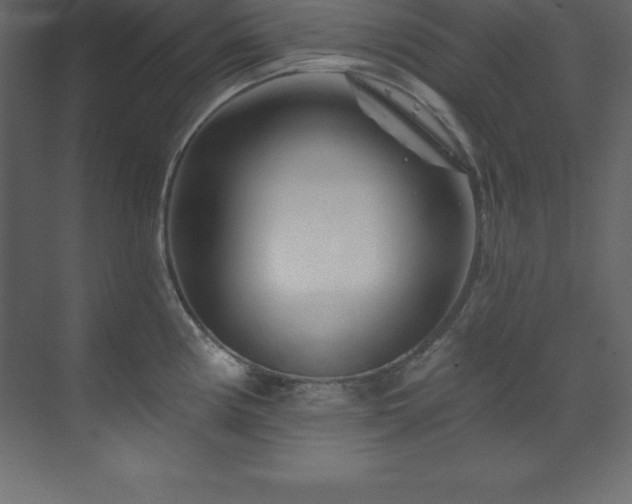X0000070181194200605301343