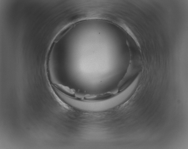 X0000070181197200605301343