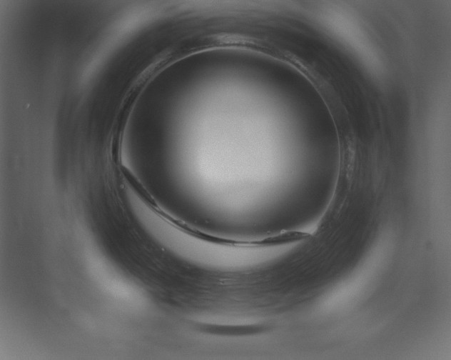 X0000070181198200605301343