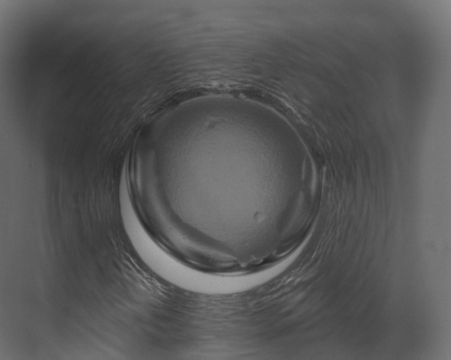 X0000070181202200605301342