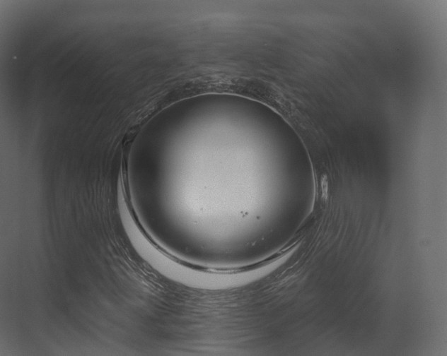 X0000070181203200605301342